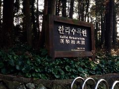 -汉拿树木园
