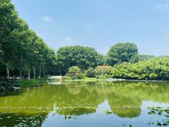 -河南省黄河迎宾馆