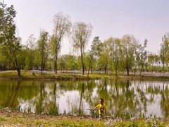 -东郊湿地公园