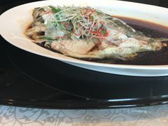 -听松楼·花园酒店·自助餐厅(红梅公园店)
