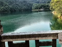-鼎湖山风景区