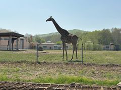 -哈尔滨北方森林动物园