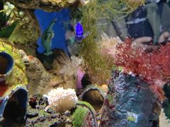 -太平洋海底世界