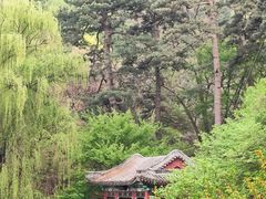 -香山公园