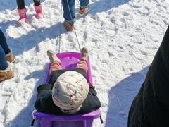 -沈阳奥体冰雪嘉年华
