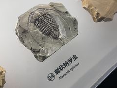 -湖南省地质博物馆