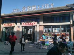 -食神又名厕所兔