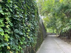 -云岫谷游猎自然风景区