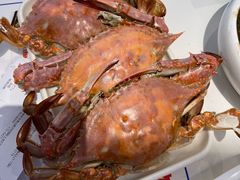 狠肥梭子蟹-大锅强·蒸海鲜青岛菜(金沙滩店)