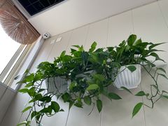 -北戴河庆山饭店·海鲜砂锅粥(北戴河黑石路店)