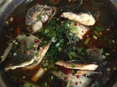 -风鑫铃罗非鱼(道沟店)