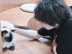 -有猫主题·治愈系猫咖(曾厝垵店)