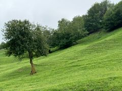 -新疆那拉提国家旅游度假区