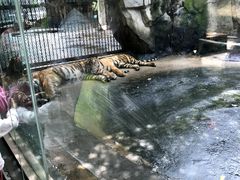 -南昌动物园
