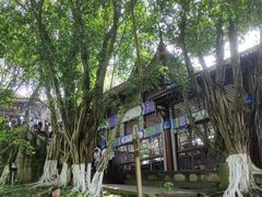 -丰都鬼城名山景区
