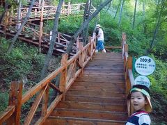 -大岭沟猕猴桃谷风景区