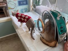 -纳吉亚猫专科动物医院·北北分院