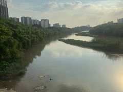 -广东花都湖国家湿地公园