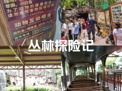 -长鹿旅游休博园