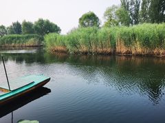-白洋淀风景区