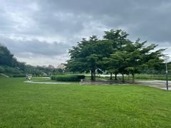 -风云岭森林公园