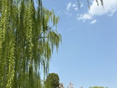 -石家庄市动物园