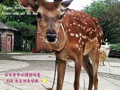-北京世界公园