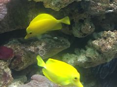 -北戴河圣蓝海洋公园