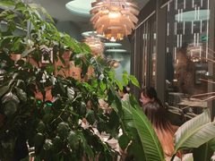 -星叶·东南亚料理(宁波万象汇店)