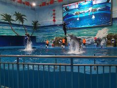 -多彩贵州城极地海洋世界