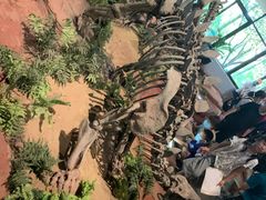 -自贡恐龙博物馆