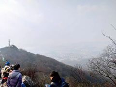 -紫金山山顶公园