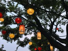 -卯时·龙光雅宴·精致锡帮菜(惠山古镇店)