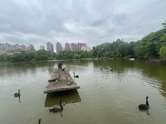 -南昌动物园