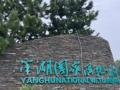 -洋湖国家湿地公园