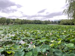 -长春市南湖公园