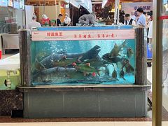 -百鱼庄(仙葫店)