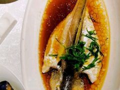 -金美华轩(东方路齐鲁店)