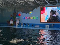 -蓬莱欧乐堡海洋极地世界