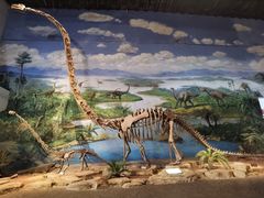-自贡恐龙博物馆