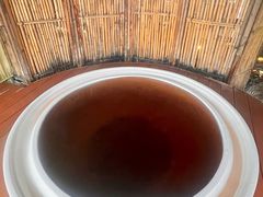 -春晖园度假酒店温泉