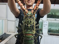-海盗餐厅