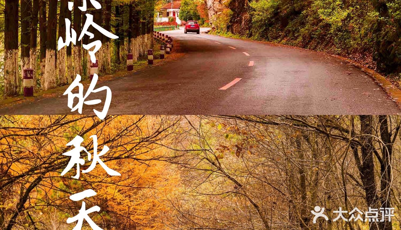 秦岭赏秋 | 这个十一假期,去看秦岭漫山红叶❗