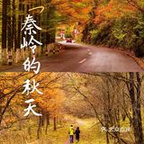 秦岭赏秋 | 这个十一假期,去看秦岭漫山红叶❗