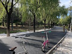 -绿堤公园