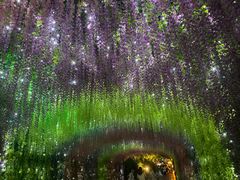 -济南方特东方神画