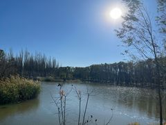 -东郊湿地公园