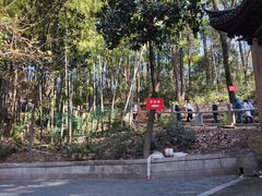 -灵岩山风景区