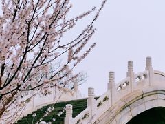 -颐和园