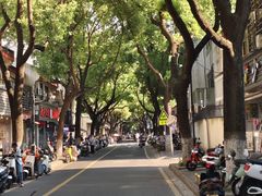 -乾芝斋·苏式糕点·碧螺春茶酥(平江路店)